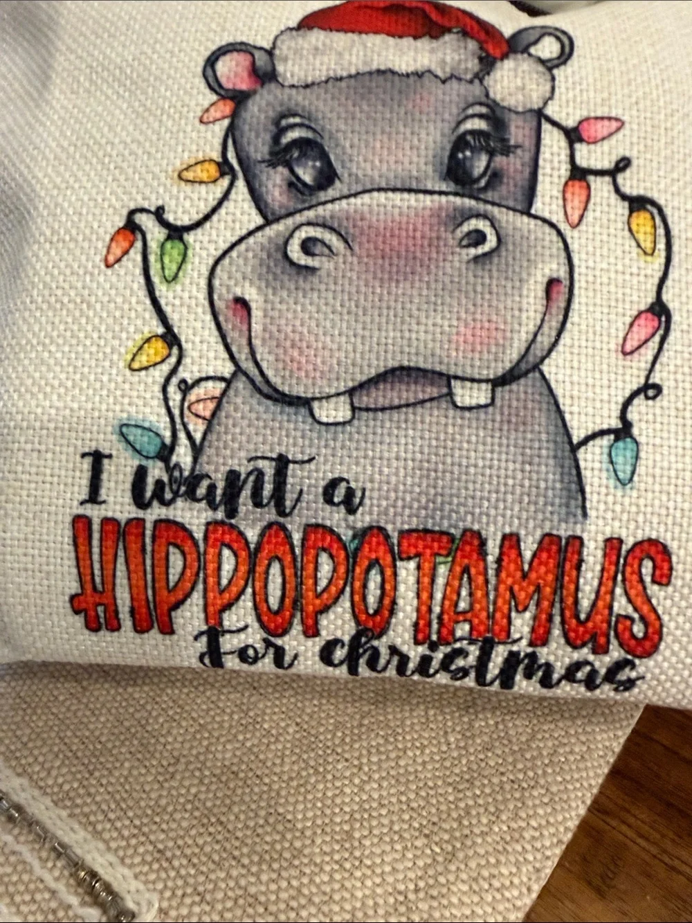 I want a hippopotamus for Christmas cosmetic pouch .NWOT